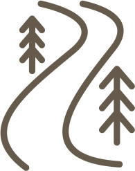 Walking Track